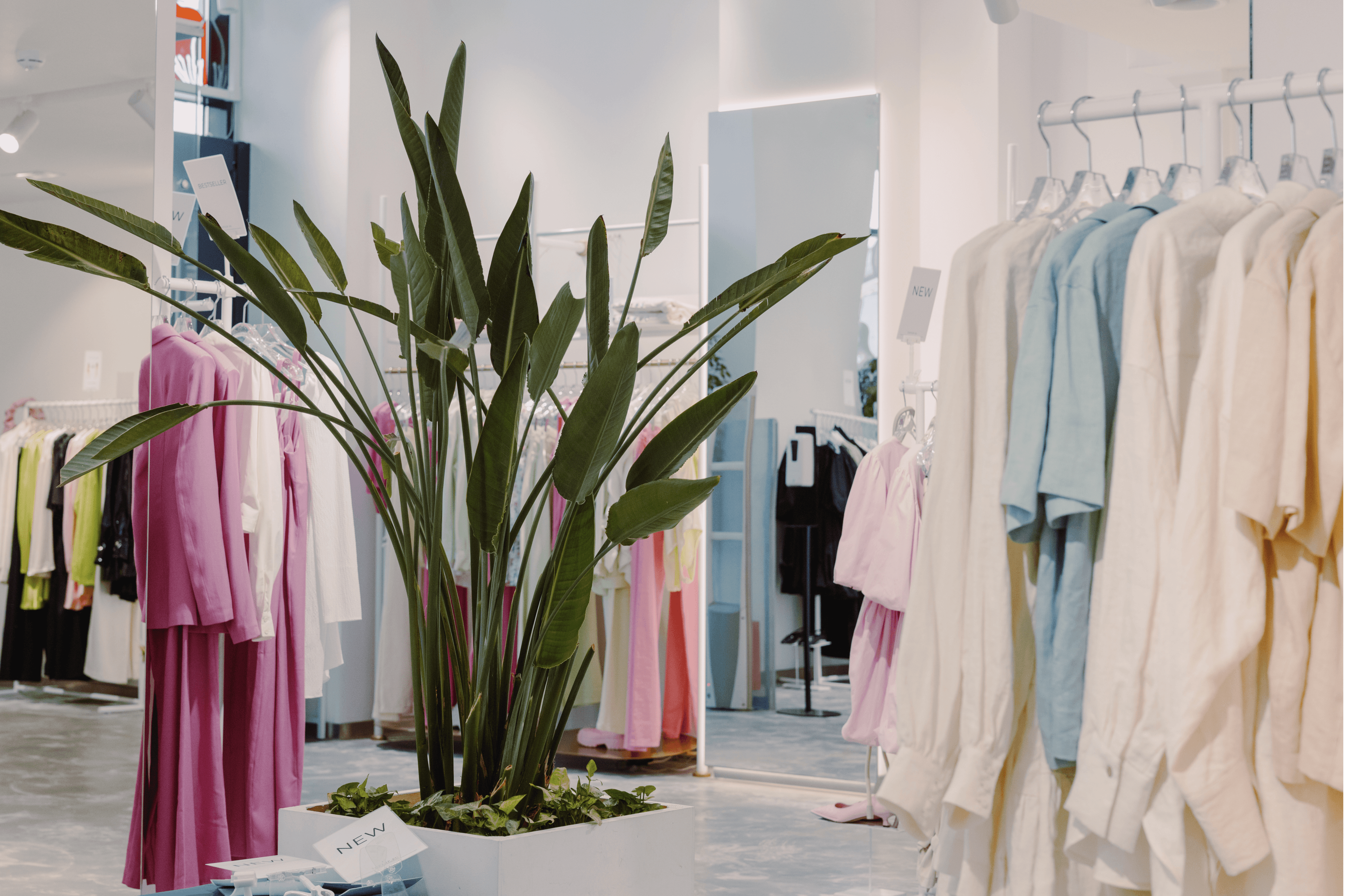 Fashion and Footwear