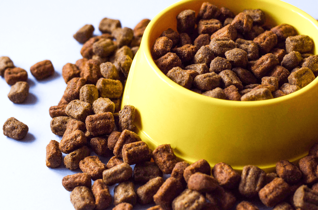 Pets, Care and Supplies